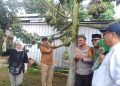 Bupati Pemalang Petik Duren di Kebun Duren Ranchi Farm